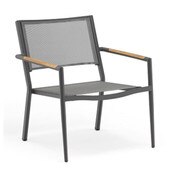 Polo Occasional Chair